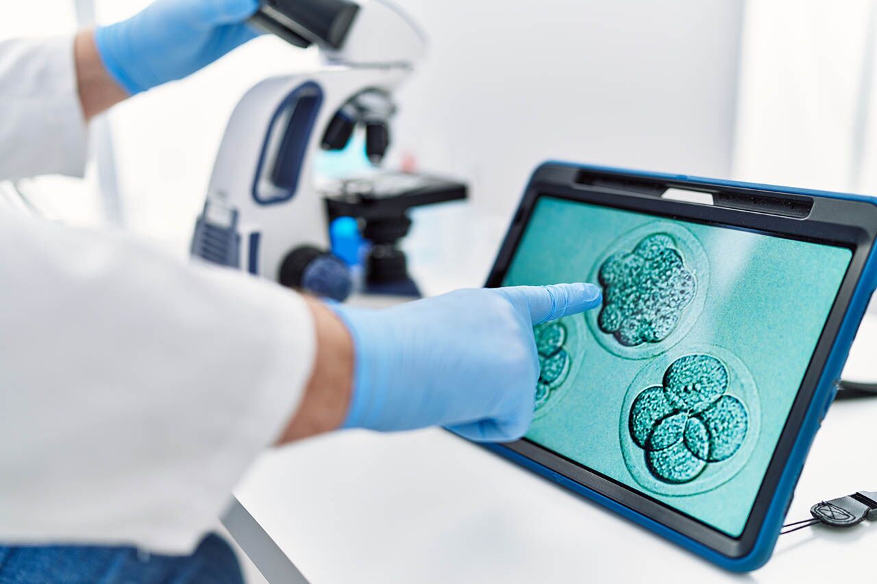 embryo lab frozen preserved